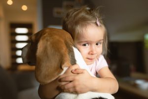 Child cuddling hard a beagle dog in living room